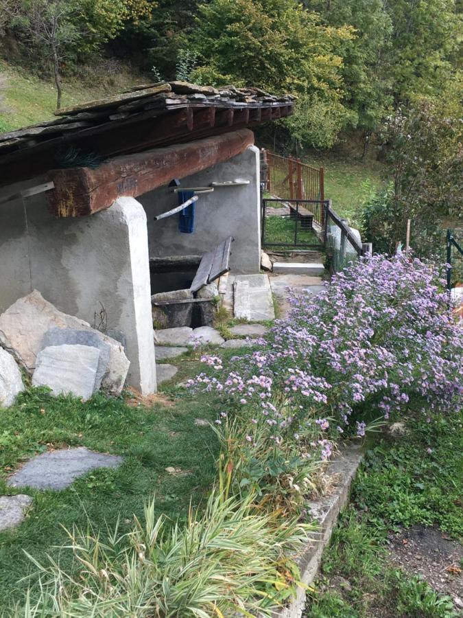 Casa Miki Holiday home *