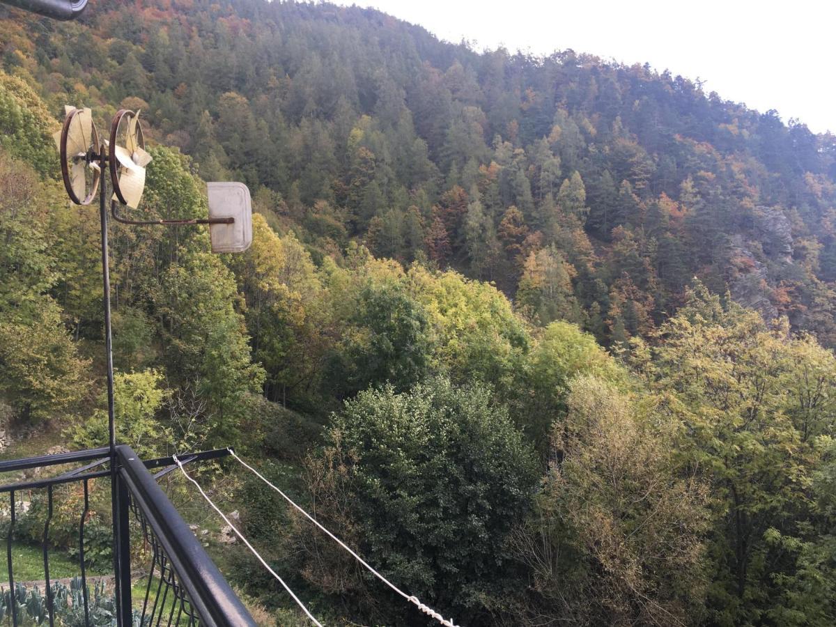 Casa Miki Holiday home Roure Turin